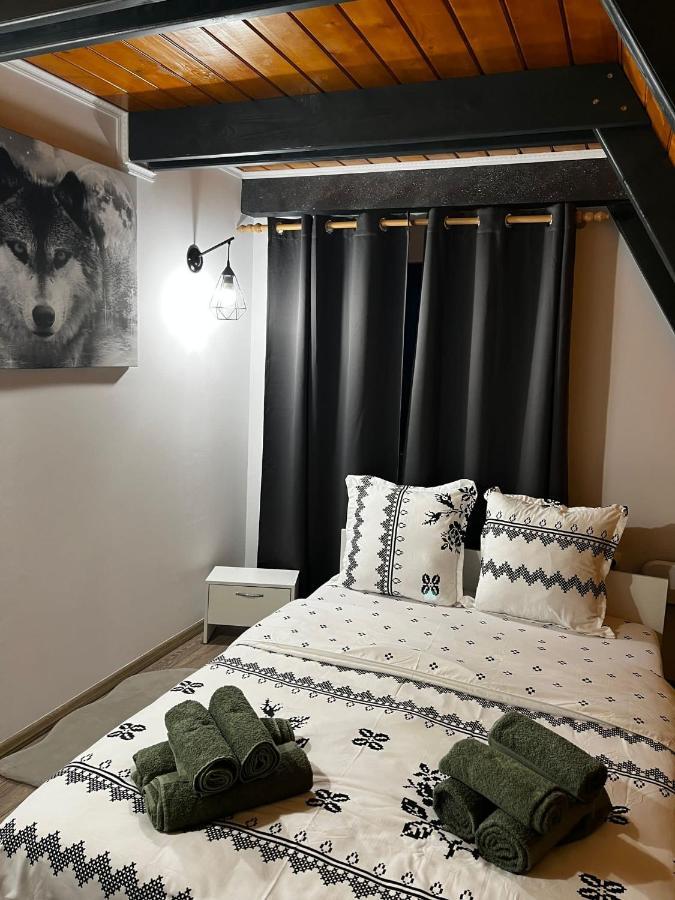 Hotel La Koltau A-Frame Mărişel Exteriér fotografie